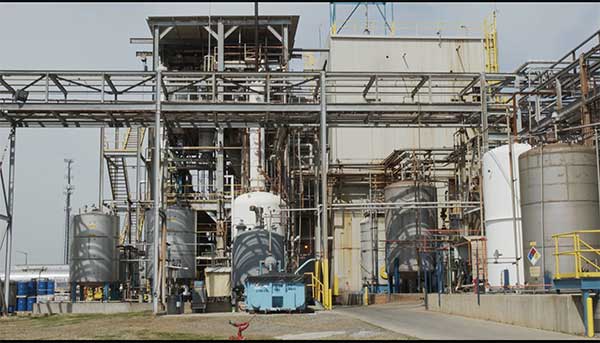 West-plant-Tight-Shot West Plant